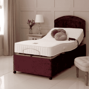 Bradshaw electric bed