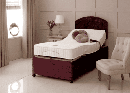 Bradshaw electric bed